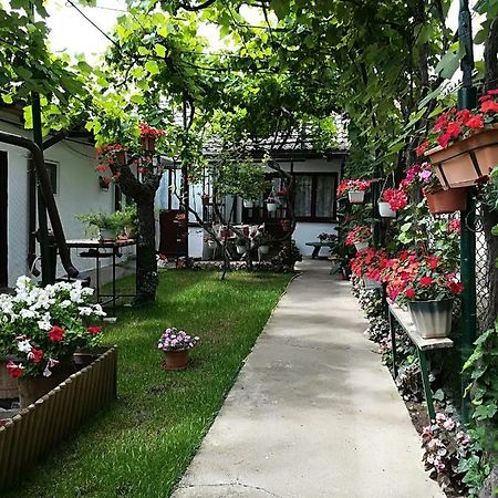 Flower House Constanta Exterior photo